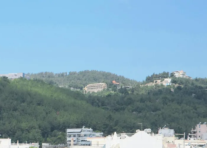 Sweet Harmony ! 70m From Rapsani ! 아파트